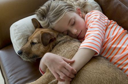 Perchè fa bene dormire con il cane
