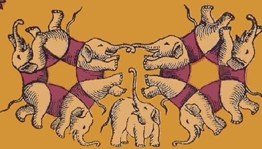 test illusione elefanti