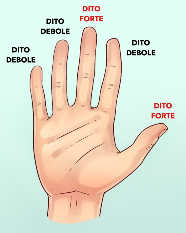 Forma delle mani 